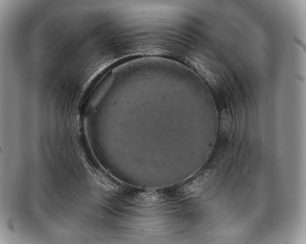 X0000097290351200802151420