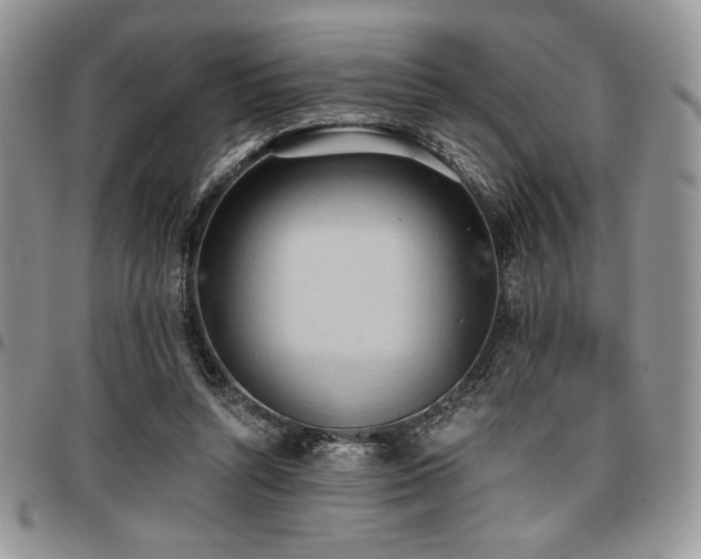X0000097290352200802151420