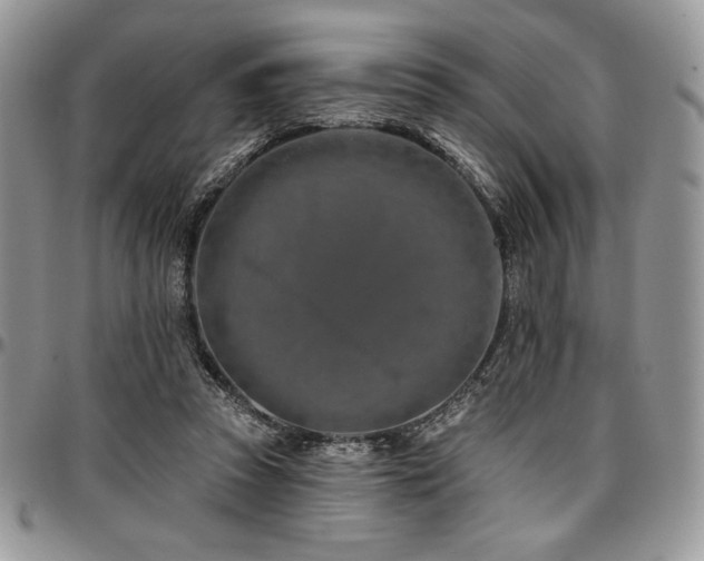 X0000097290353200802151420