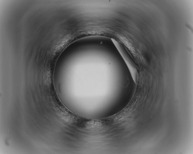 X0000097290354200802151420