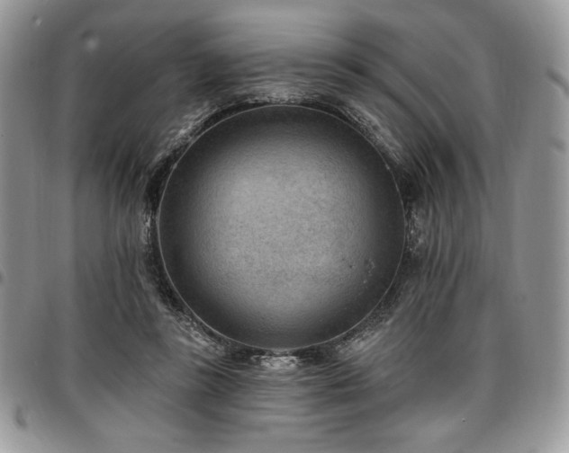 X0000097290355200802151420