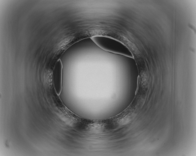 X0000097290356200802151421