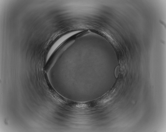 X0000097290357200802151421
