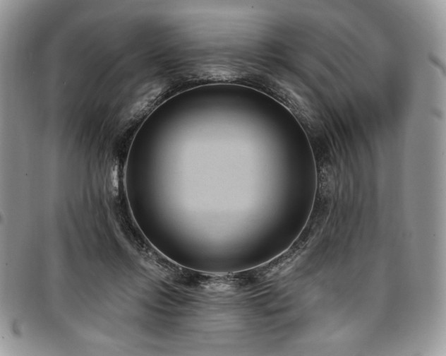 X0000097290358200802151421