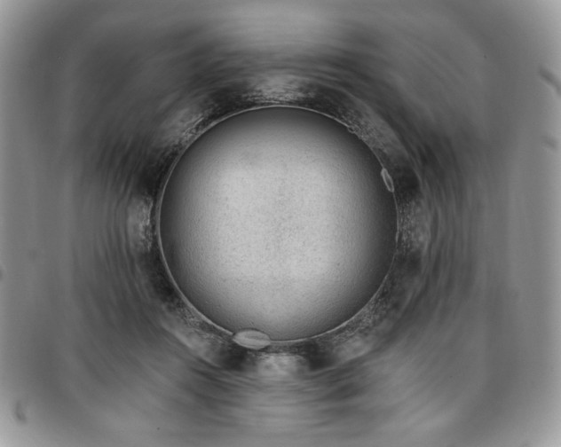 X0000097290360200802151421