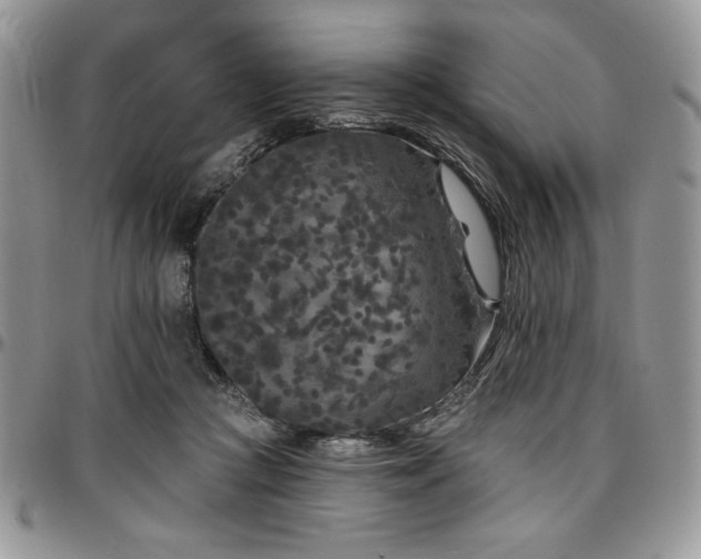X0000097290361200802151421