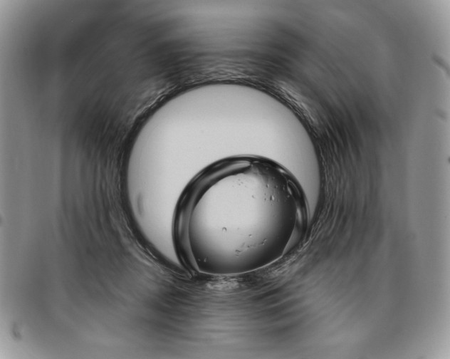 X0000097290362200802151421