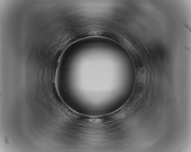 X0000097290363200802151421