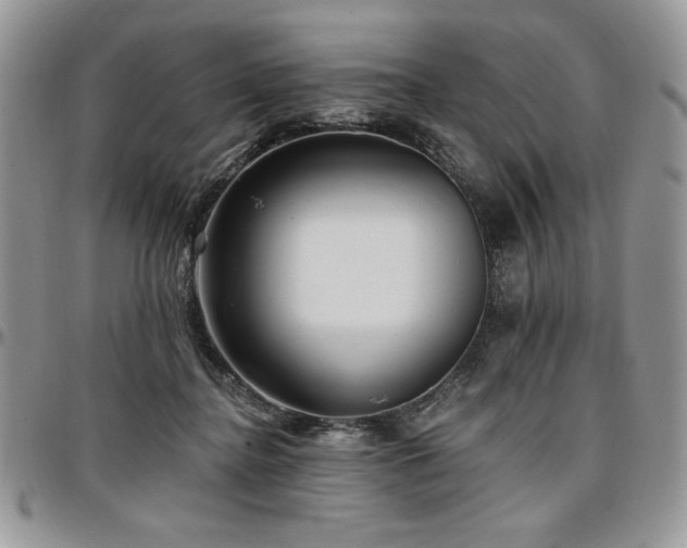 X0000097290364200802151421
