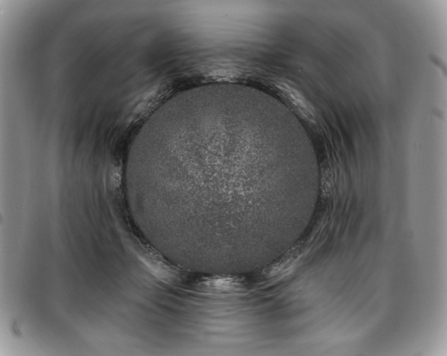 X0000097290365200802151421