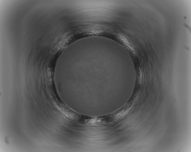 X0000097290366200802151421