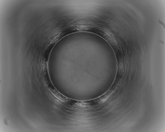 X0000097290367200802151421