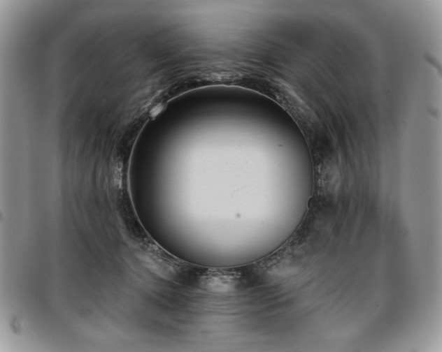 X0000097290368200802151421