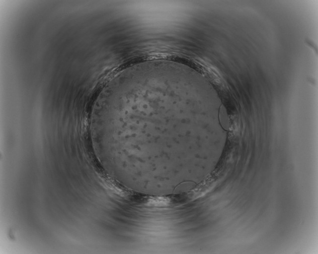 X0000097290369200802151421