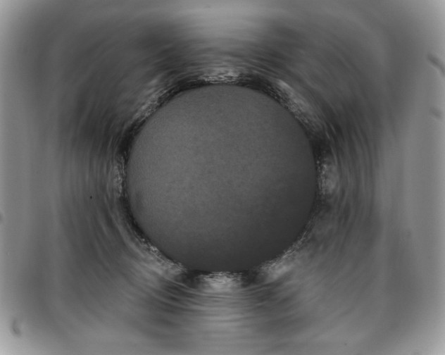 X0000097290370200802151421