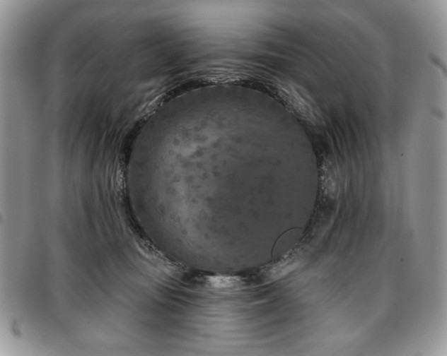 X0000097290371200802151421