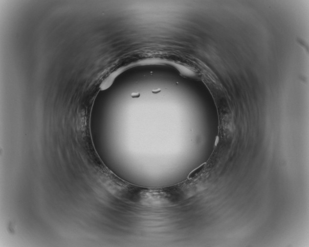 X0000097290372200802151421