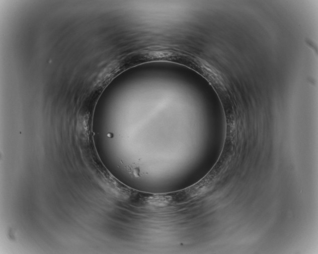 X0000097290373200802151421