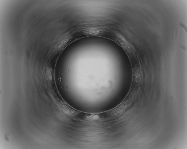 X0000097290374200802151421