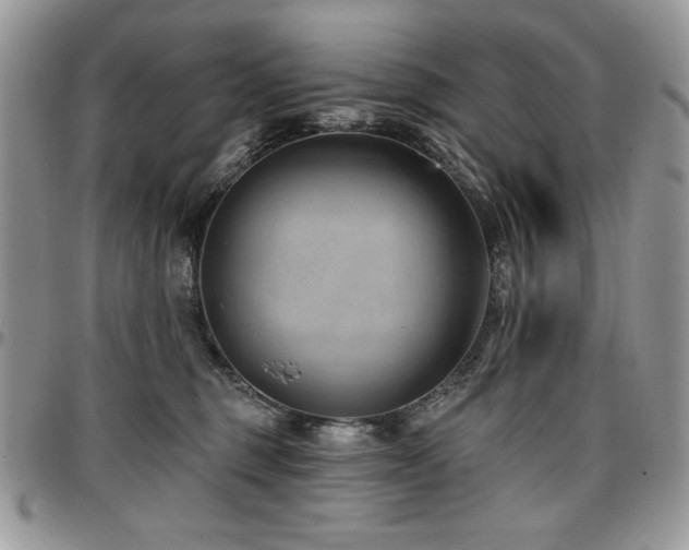 X0000097290375200802151421