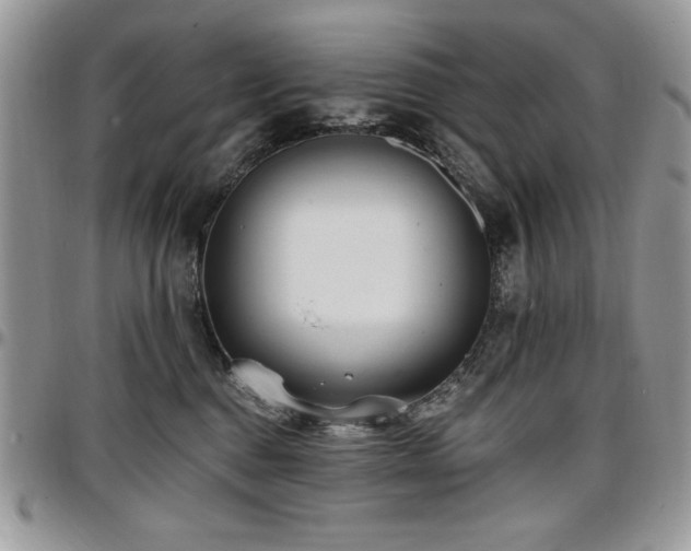 X0000097290376200802151421
