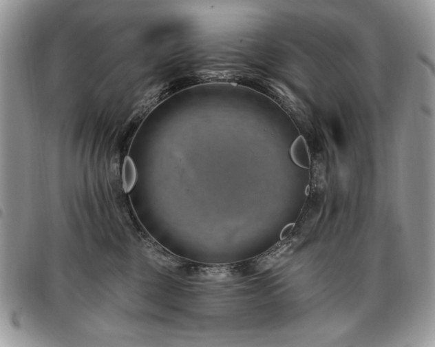 X0000097290377200802151421