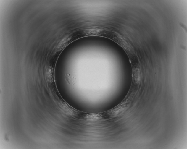 X0000097290378200802151421