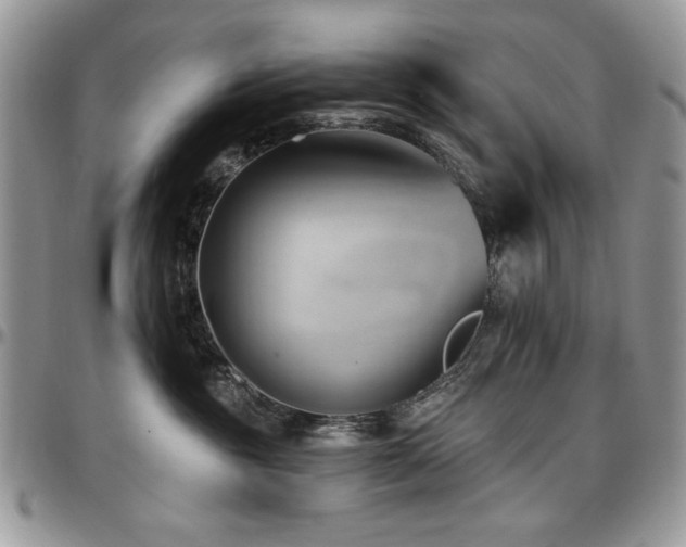 X0000097290381200802151421