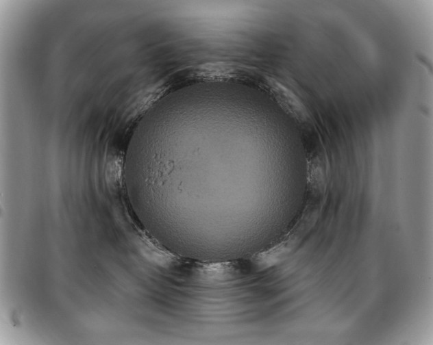 X0000097290382200802151421