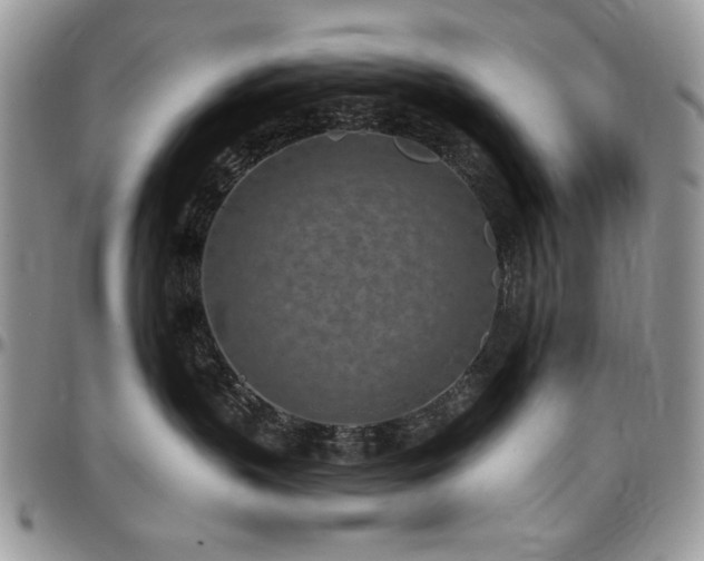 X0000097290383200802151421