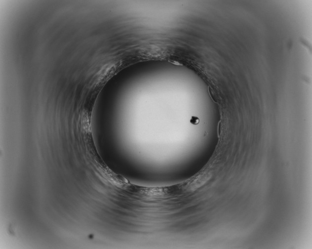 X0000097290384200802151421