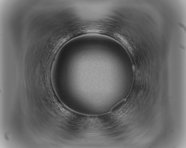 X0000097290385200802151420