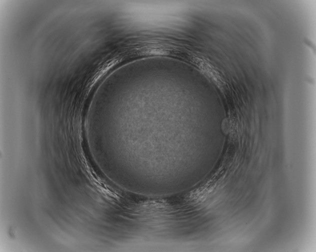 X0000097290386200802151420