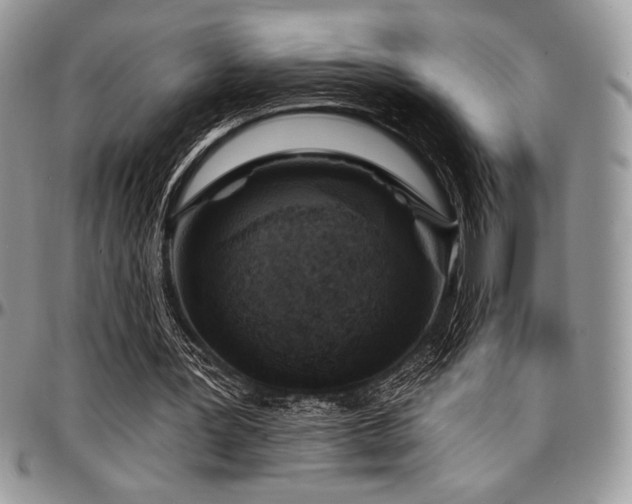 X0000097290387200802151420