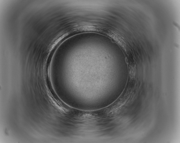 X0000097290390200802151420