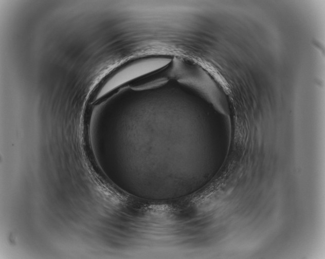X0000097290391200802151420
