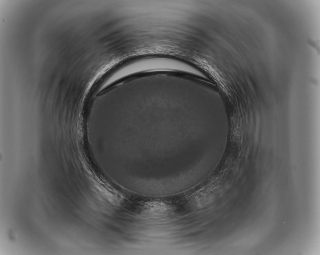 X0000097290392200802151420