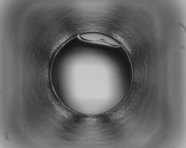 X0000097290394200802151420