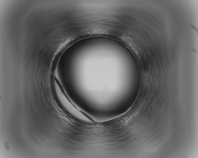 X0000097290395200802151420
