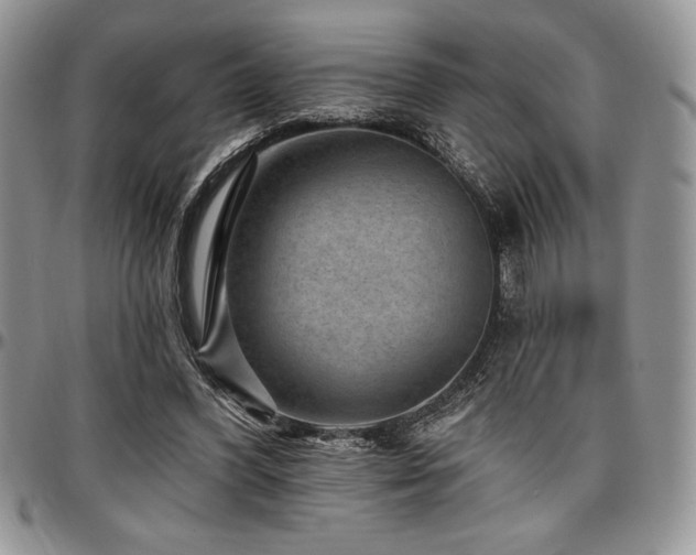 X0000097290396200802151420