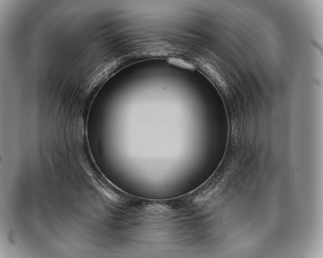 X0000097290397200802151420