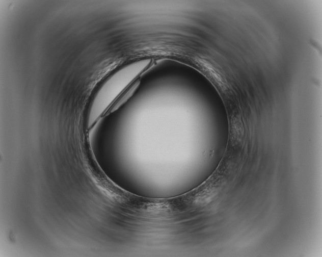 X0000097290398200802151420