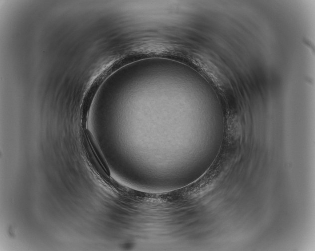 X0000097290399200802151420