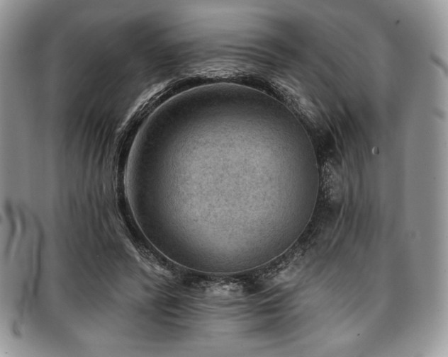 X0000097290400200802151420