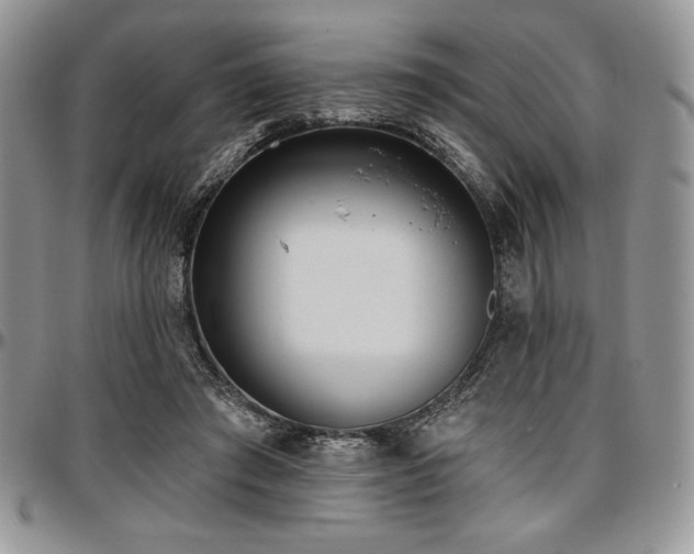 X0000097290401200802151420