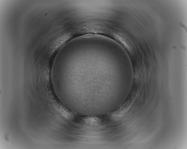 X0000097290402200802151420