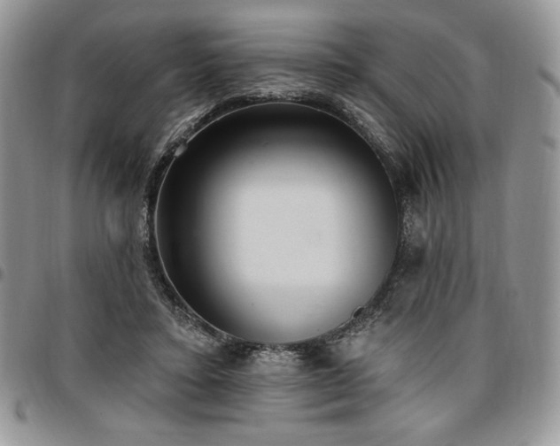 X0000097290403200802151420