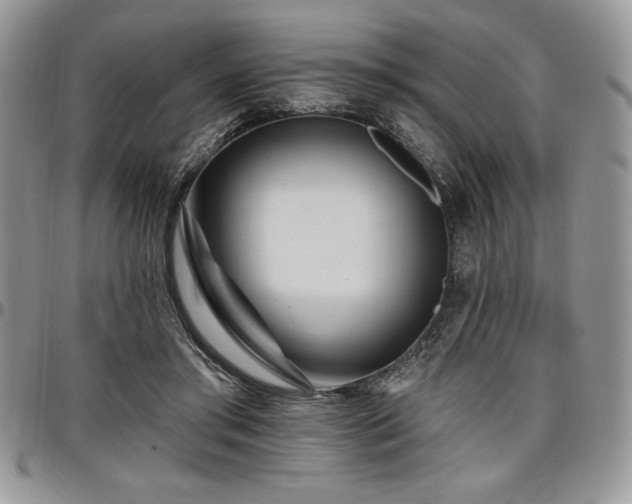 X0000097290405200802151420