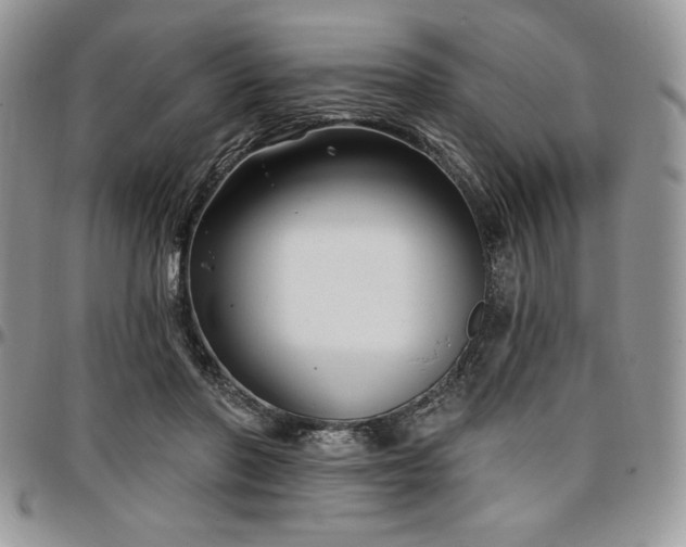 X0000097290406200802151420