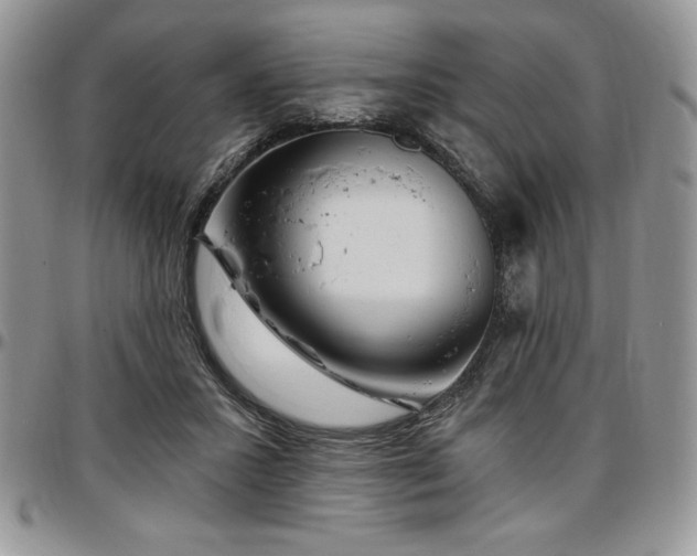 X0000097290407200802151420